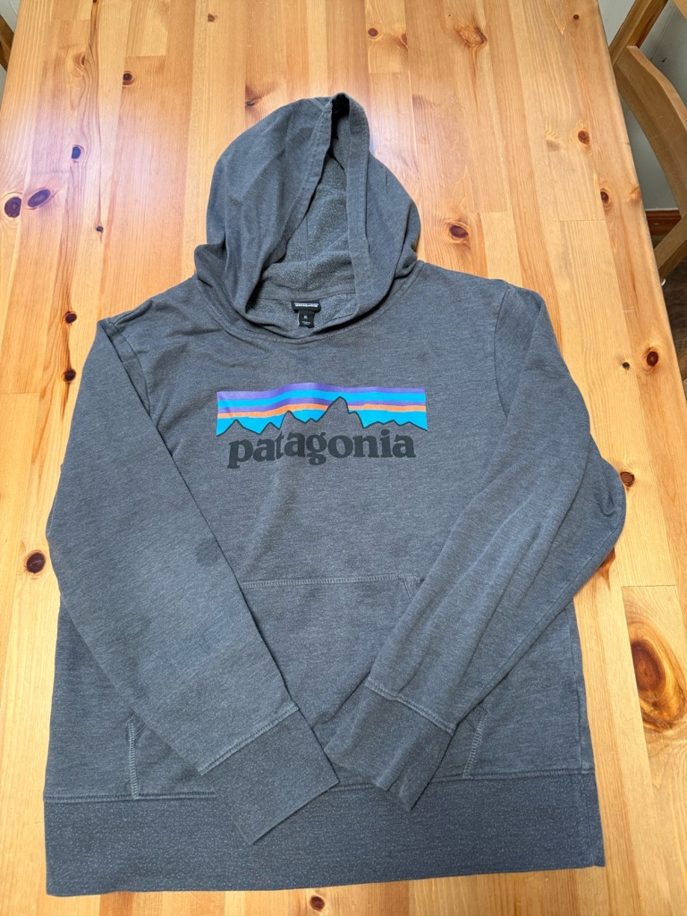 Patagonia kids Dark Gray Logo Hoodie